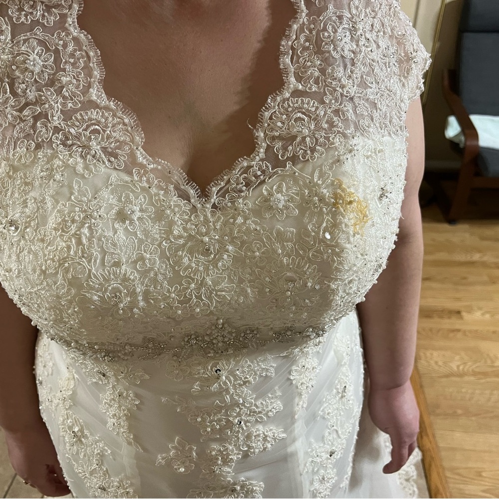 David's Bridal Ivory Lace Gown - Gem
